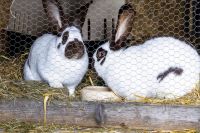 Milena und Sarah.jpg